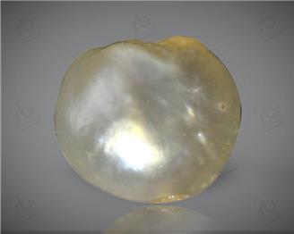 Natural Pearl (Basra) Certified  1.61 Cts { 0011(22) }